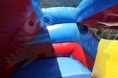 19' Double Wave Double Lane Wet/Dry Slide Commercial Inflatable For Sale
