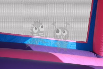 13x13 Pink/Purple Bounce House Jumper with Basketball Hoop Commercial Inflatable For Sale